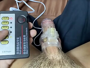 Pee and electric with Flannel cage