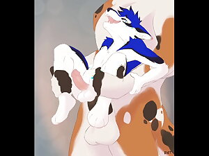 Furry Yiff Compilation Animation #1