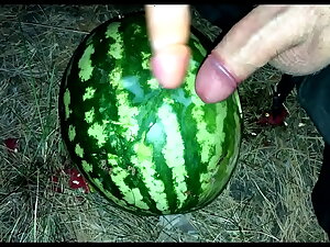 I found a WATERMELON in the forest and fucked it with two members / Male orgasm / Russian dirty talk / Dildo